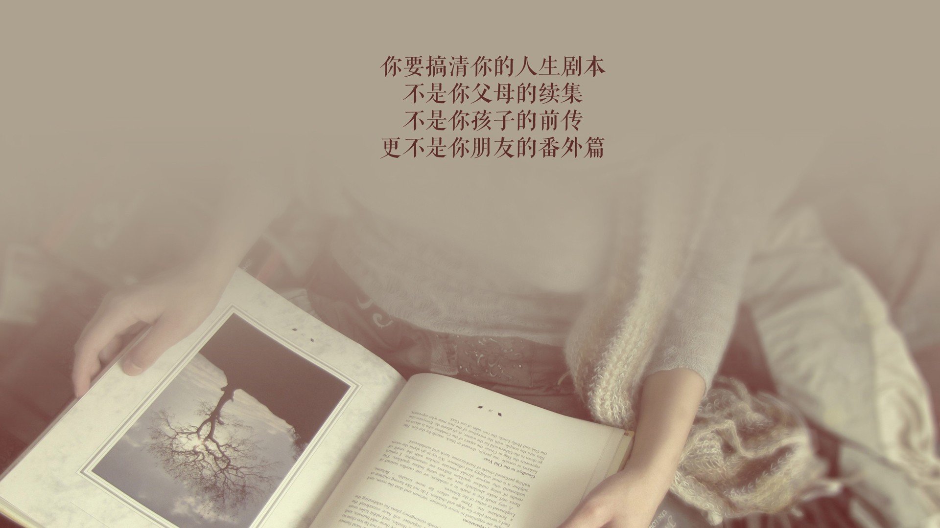 开云APP-伊朗骑手卡尔·阿里·阿尔达比在巴黎奥运会后成为马术协会主席，推动马术运动发展。