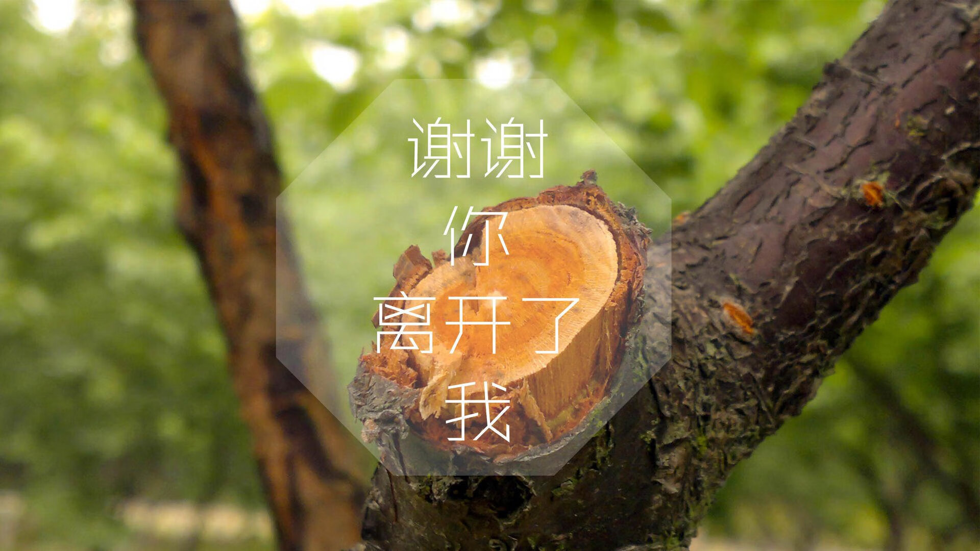 kaiyun官方入口登录-经典战役回放：十年前的那场决战依然令人热血沸腾，播放十年战争