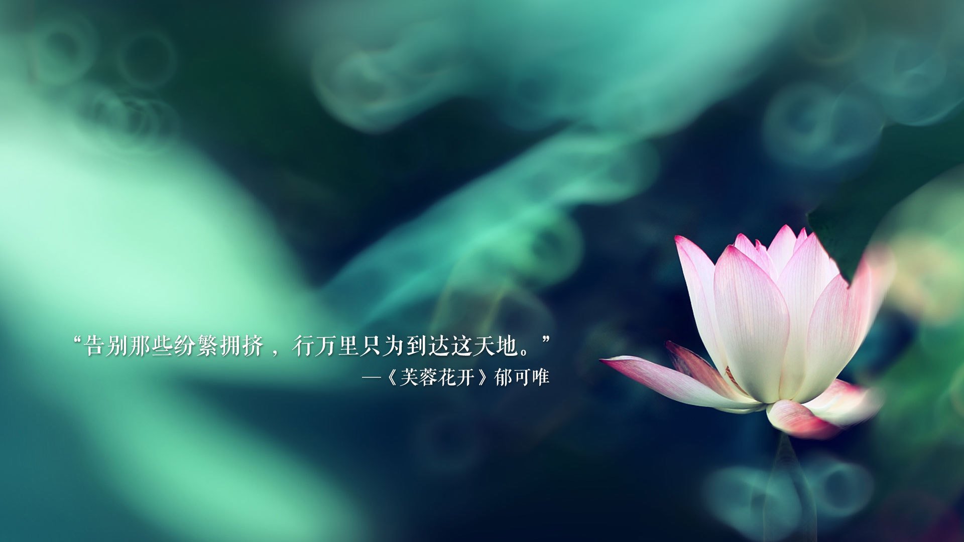 Kaiyun(中国)开云-全民健身日各地活动丰富形式多样，全民健身日开展什么样的活动