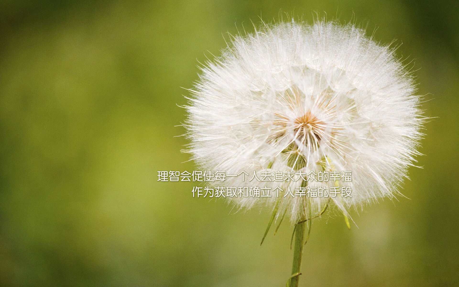 kaiyun 开云体育-羽毛球场上晋级之路步步惊心，羽毛球晋级规则