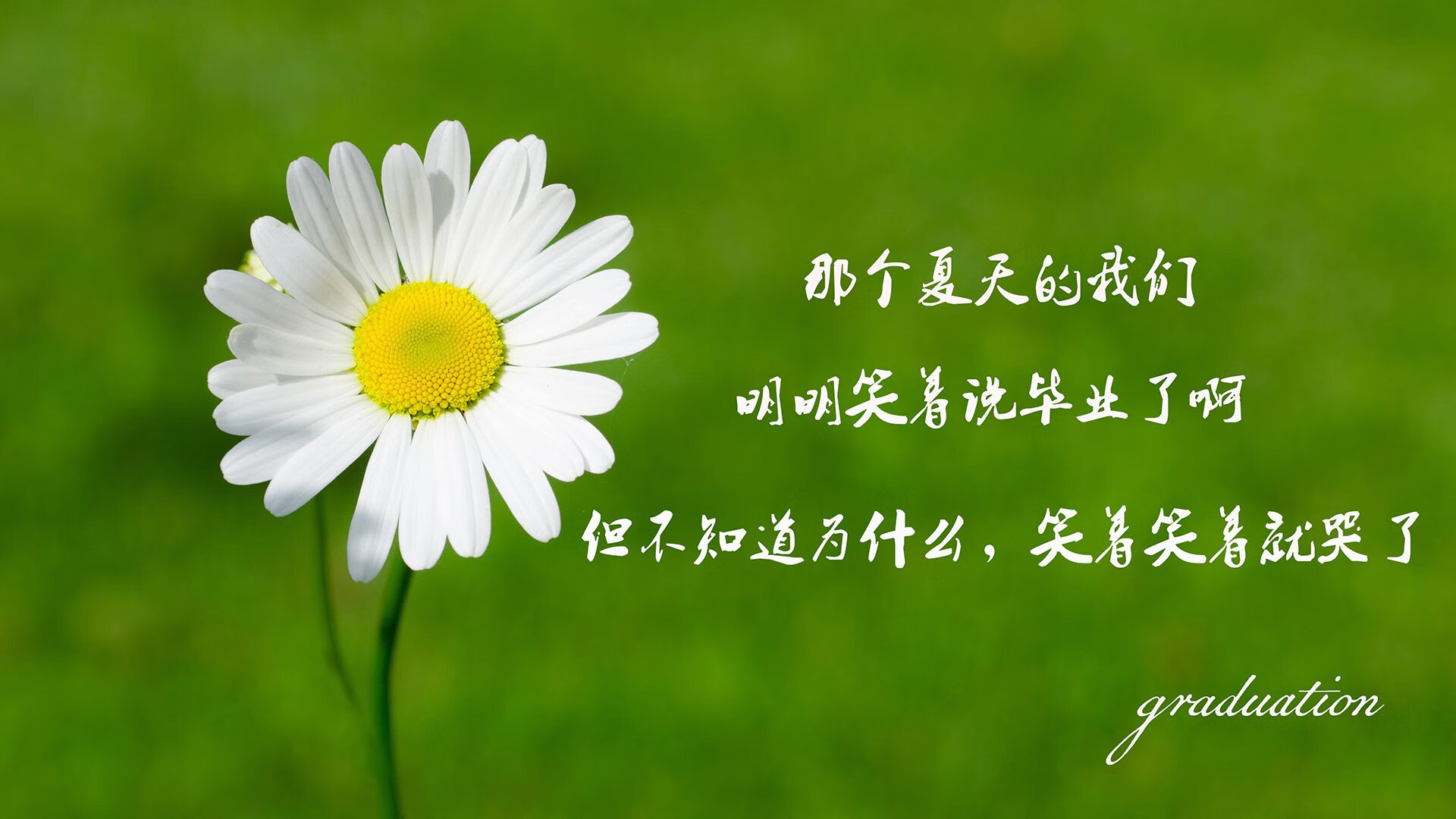 开云体育中国官网-新闻中心发布国家体育信息安全防护项目采购清单，国家体育信息中心主任