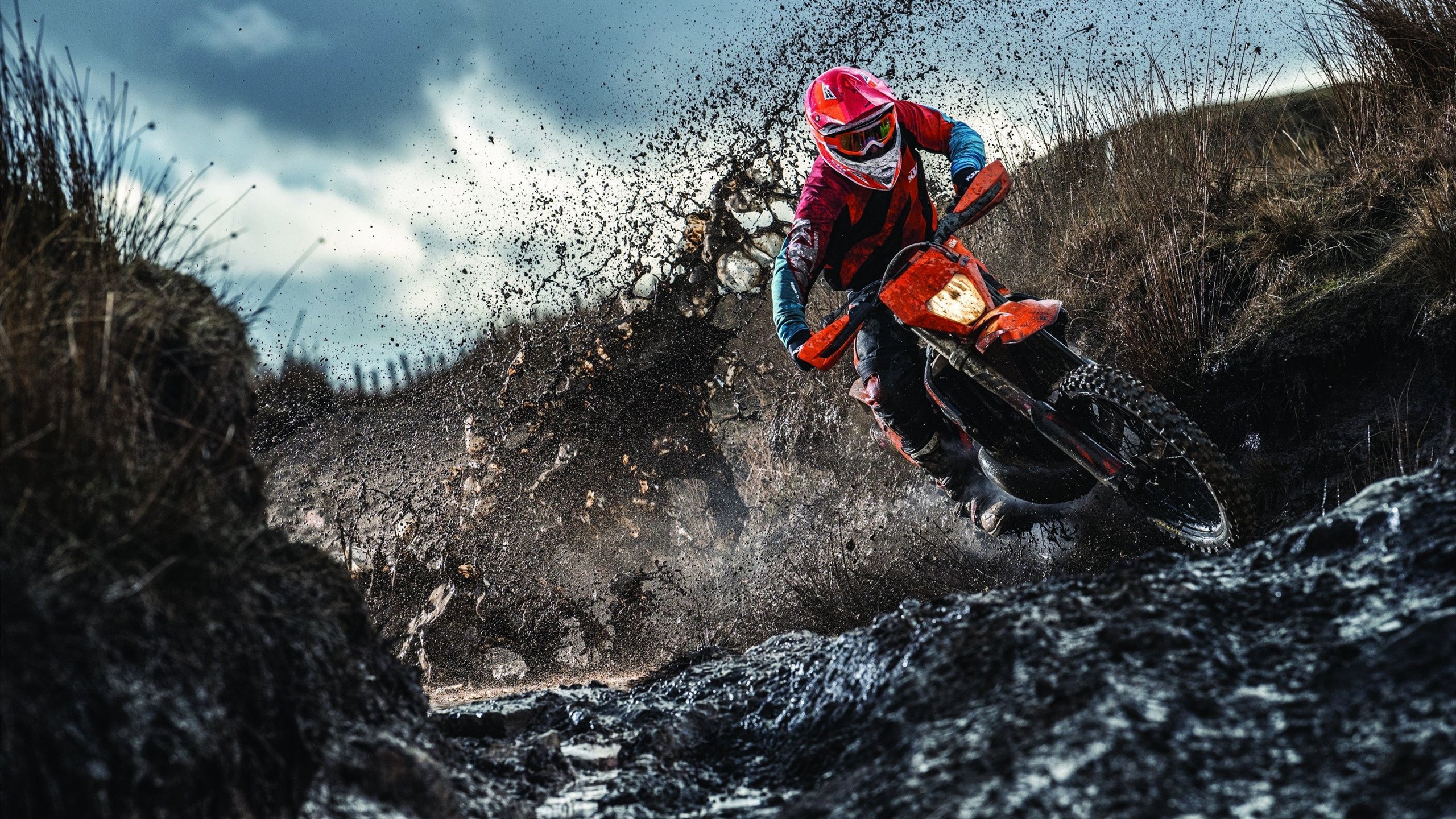 _成长故事：从业余到职业的心路历程_，从业余变成专业